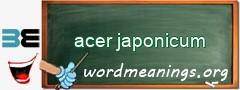 WordMeaning blackboard for acer japonicum